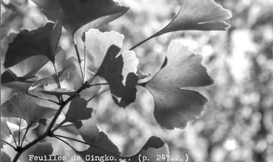 La papeterie Tsubaki : écrire pour les autres