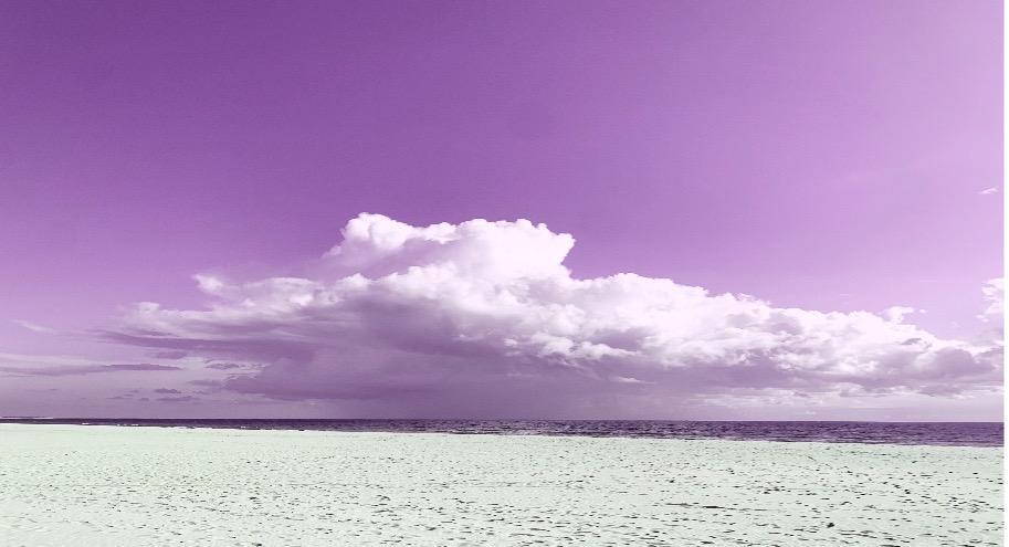 Sur les traces de colette